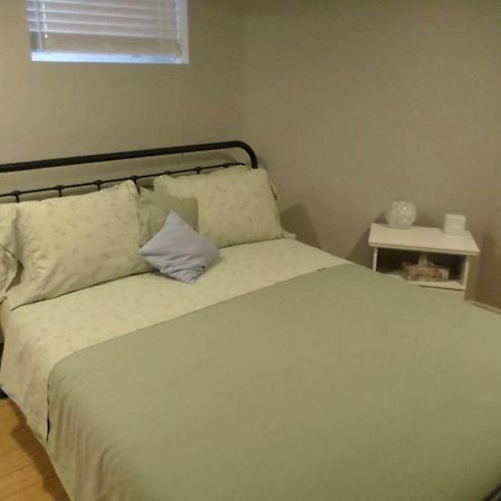 Fantastic And Modern Downtown 1-Bed Basement Apt., Parking Wi-Fi And Netflix Included Ottawa Exterior photo