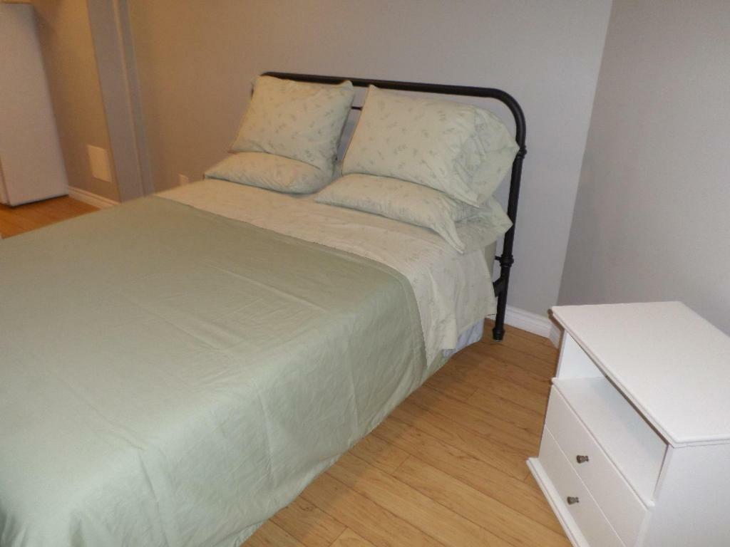 Fantastic And Modern Downtown 1-Bed Basement Apt., Parking Wi-Fi And Netflix Included Ottawa Exterior photo